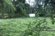 heavy rain in ajmer ;:भारी बरसात के कारण फ़सले आड़ी - ग्रामीण परेशान