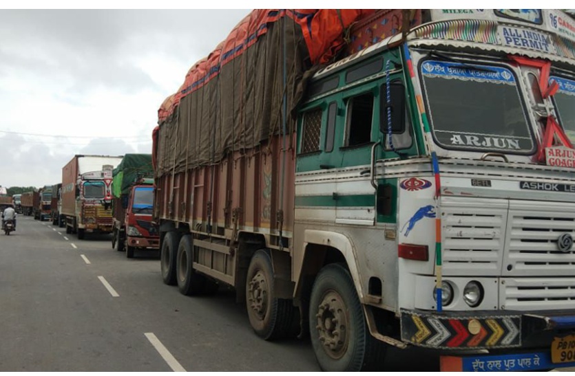 15 cattle died in Road Accident