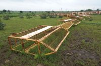  Why the barricades in the forest handle the traffic on the roads