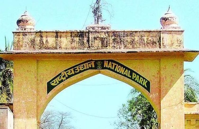 sariska pandoopol news पाण्डुपोल मेले में सरिस्का की तैयारी पर आस्था भारी