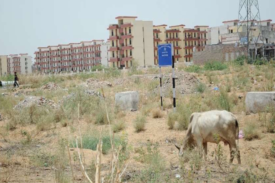 Rajasthan only convention center will be established in jodhpur