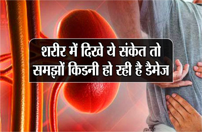 causes of kidney disease: kidney transplant donor cost in india