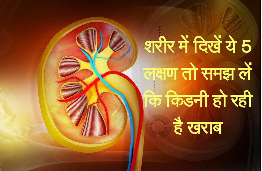 kidney problem and treatment