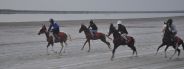 Half marathon in Redana Rann, Horse racing and cultural evening