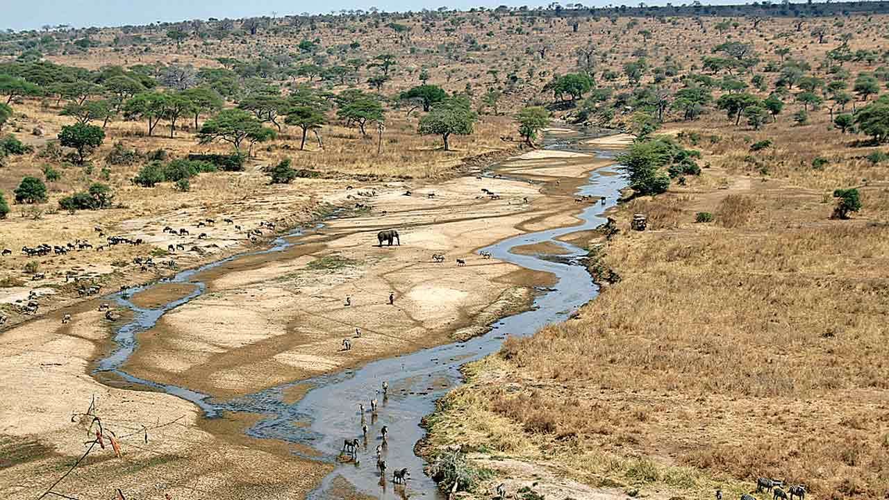 मध्यप्रदेश में फिर बहेगी 40 लुप्त नदियां