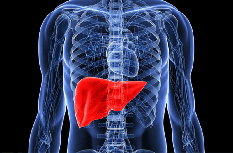 ये लक्षण दिखाई दें तो हो सकती है फैटी लिवर कि समस्या