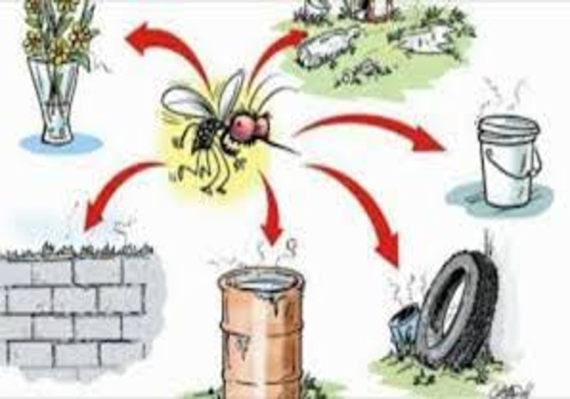 health awareness rally in jhansi