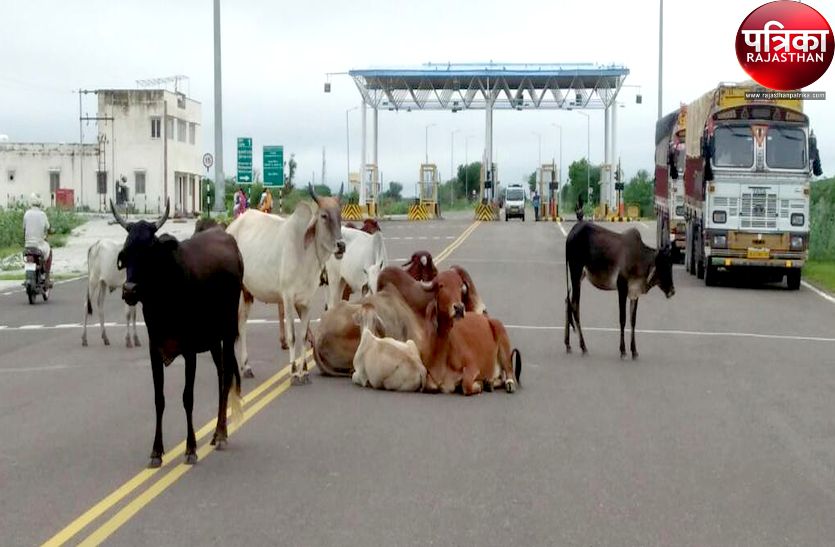 जानलेवा बनी लापरवाही, अब तक यहां मौत से हारे दस लोग