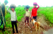 सिर पर बैग और हाथों में जूते लेकर गिरते हुए स्कूल जाते हैं बच्चे