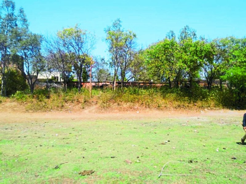 Teachers Day 2019: Satna teacher Anjani Tripathi success story