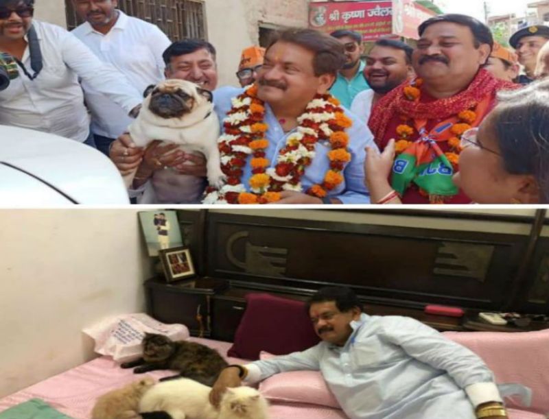 भाजपा सांसद प्रो. एसपी सिंह बघेल की बेजुबान मोहब्बत, पोस्ट हो रहा जमकर वायरल