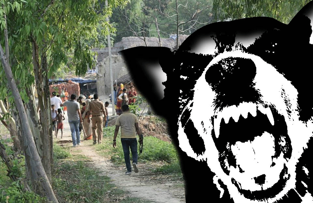 four-year-old girl was attacked and killed by dogs In Raunahi Ayodhya