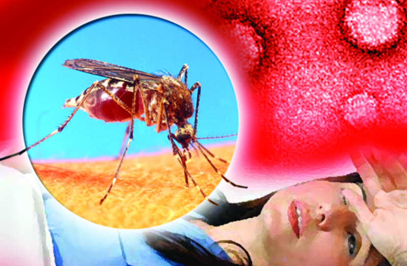 dengue_patient.png