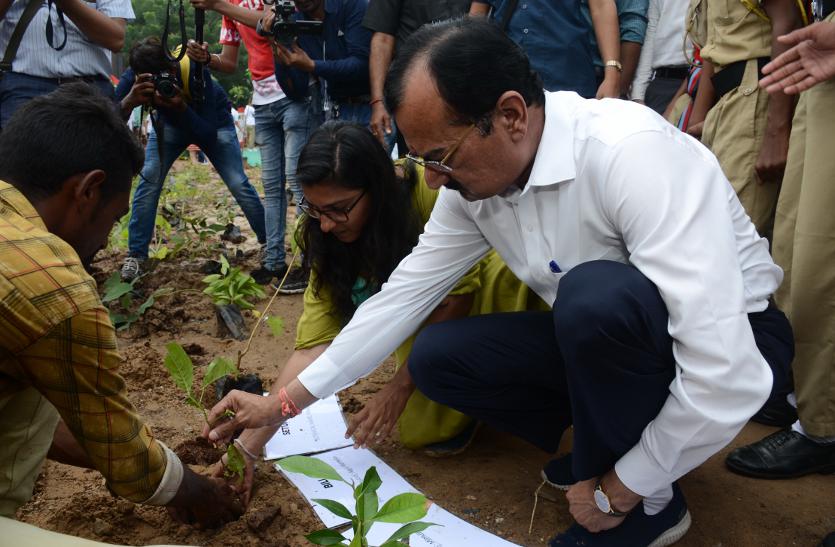 गुजरात पुलिस 'मियावांकी पद्धति' से लगाएगी दो लाख पौधे : प्रदीपसिंह जाड़ेजा