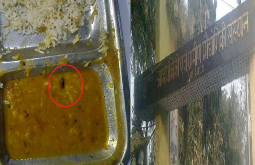Cockroach found in IERT Ayodhya hostel mess food