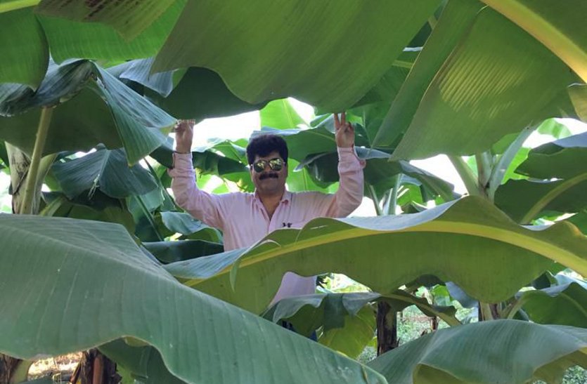 Farmer is getting profit from banana cultivation