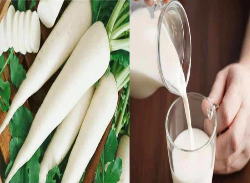 मूली के साथ भूलकर भी न करें दूध का सेवन, बन जाएगा जहर