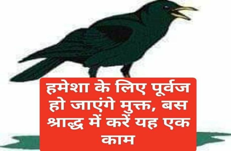 shardh pakdha ke upay