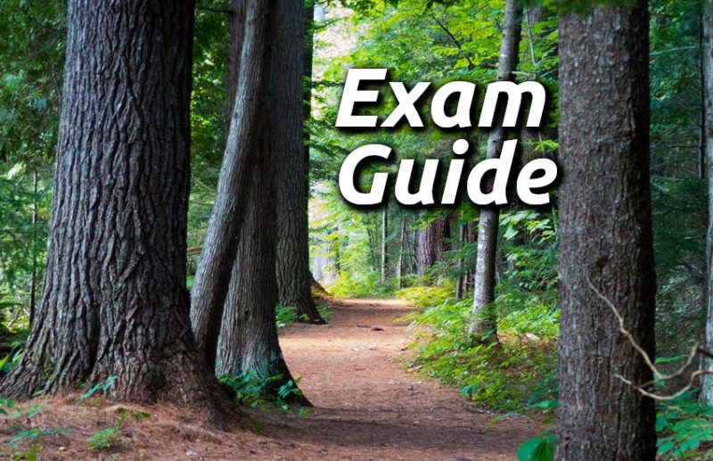 Education, interview, exam, online test, rojgar samachar, interview tips, online exam, Mock Test, general knowledge, GK, interview questions, jobs in hindi, rojgar, competition exam, mock test paper, sarkari job, questions Answers, GK mock test, Exam Guide, General Science Questions, Questions and answers, common general knowledge questions and answers, common general knowledge questions and answers