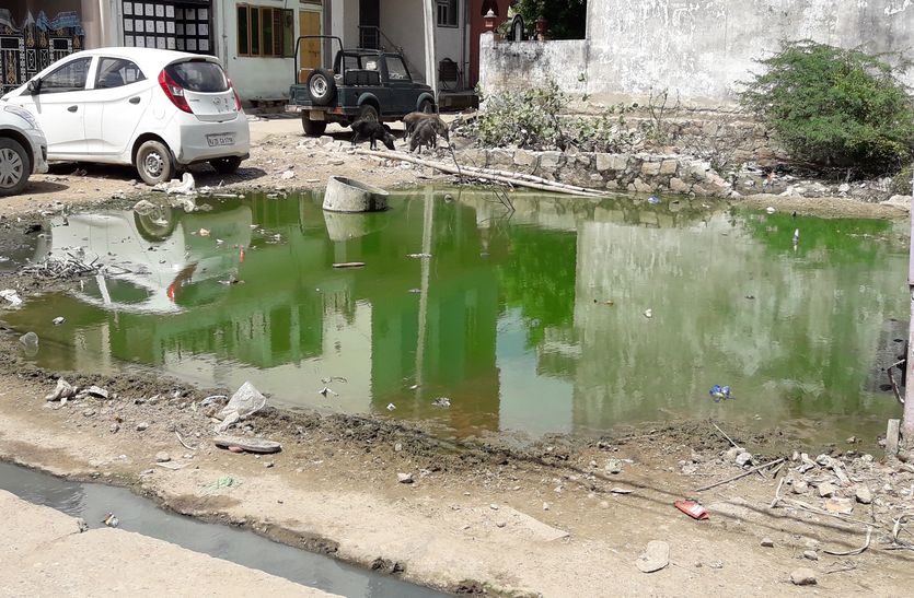 खाली प्लाटो व रास्तों में जमा पानी, मच्छरों का प्रकोप