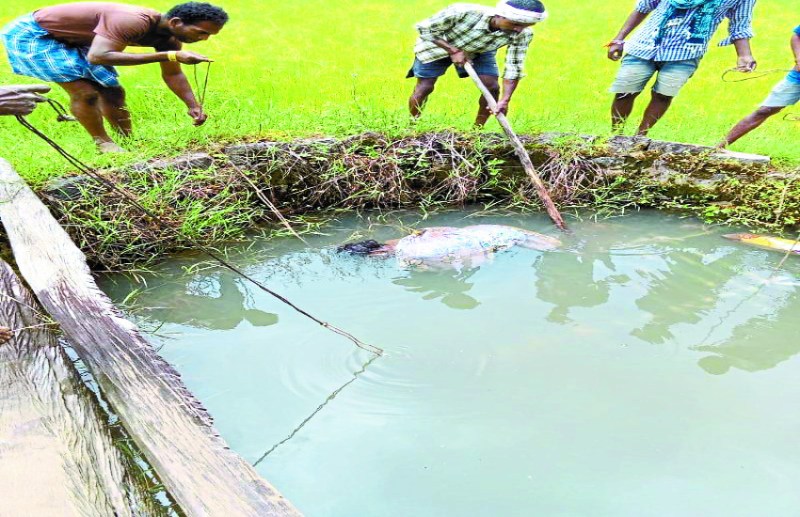 भाई के घर जाने के लिए निकली थी महिला, दो दिन बाद पड़ोसी के ही बाड़ी में बने कुएं में मिली लाश
