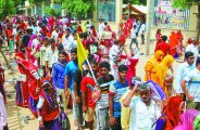 queue of devotees continued throughout day