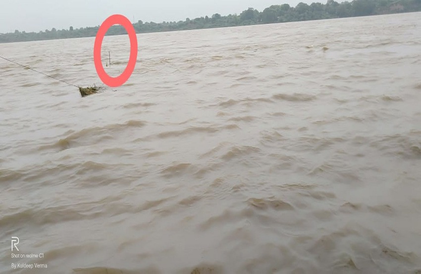 Narmada flood in mp news