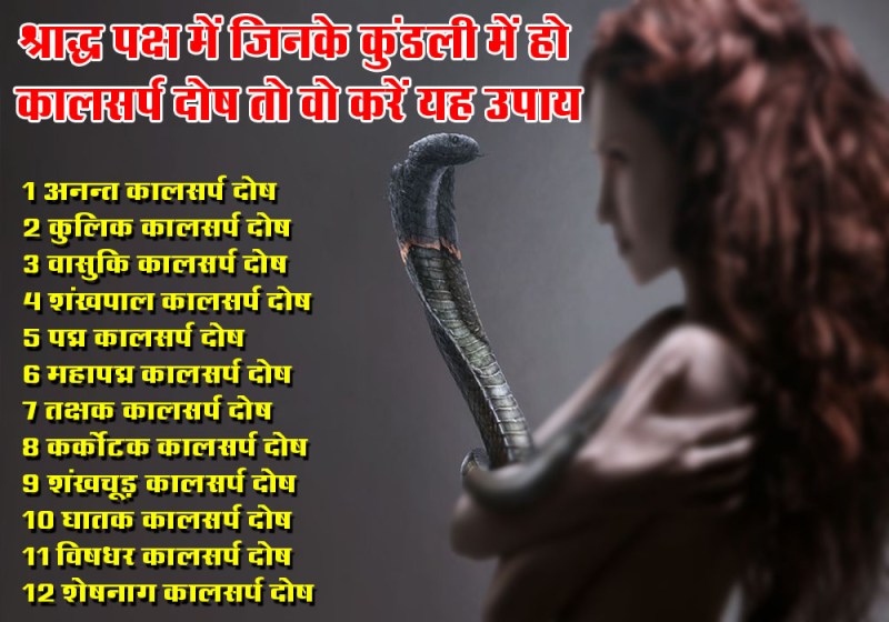 Shraddha Paksha Special