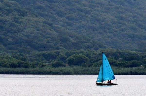 जयपुर के मानसागर पाल पर एनसीसी के कैडेट्स नाव चलाकर प्रेक्टिस करते नज़र आये देखे तस्वीरें।