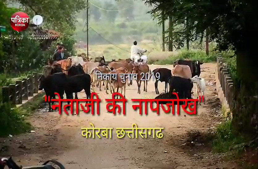 video : दो बड़ी मांग पांच साल पहले थी और आज भी है वार्ड की सडक़ अब तक नहीं बनी, शराब दुकान से माहौल खराब