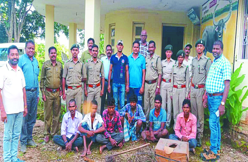 उदंती सीतानदी अभ्यारण्य से पकड़े गए थे शावक, पुलिस ने 6 आरोपियों को भेजा जेल