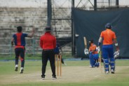 cricket