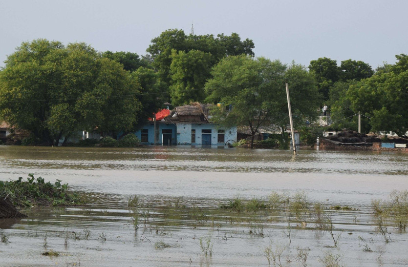 floods situation in dholpur 