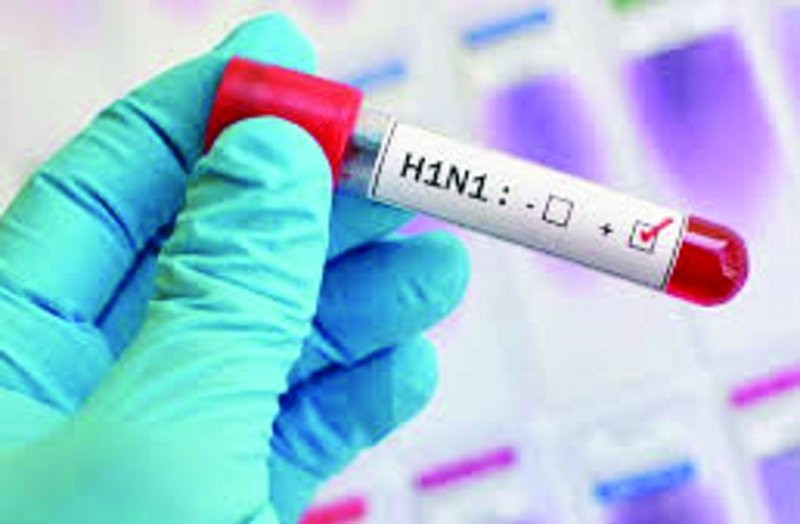 Swine flu has killed 206 in state, now it is coming again