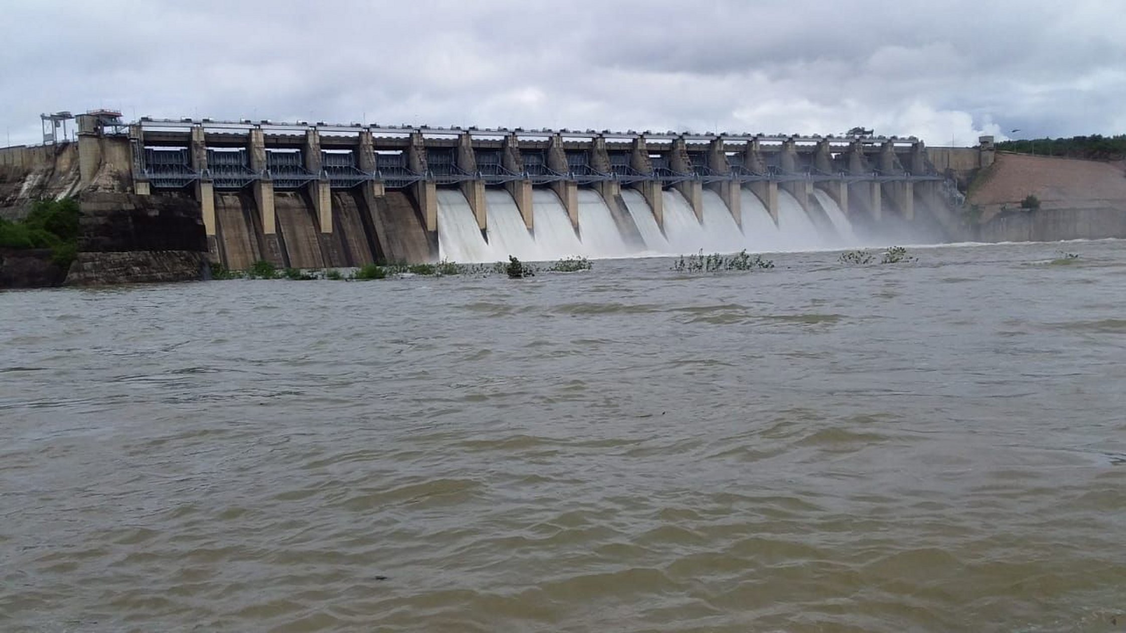 Bansagar Dame's water level is not decreasing