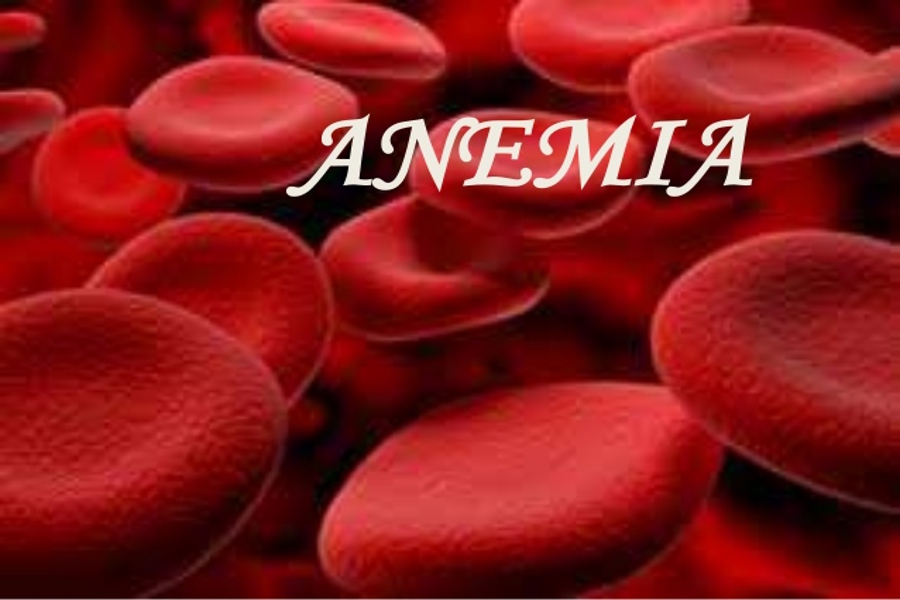 Anemia is a big problem among the girls of Rajasthan.