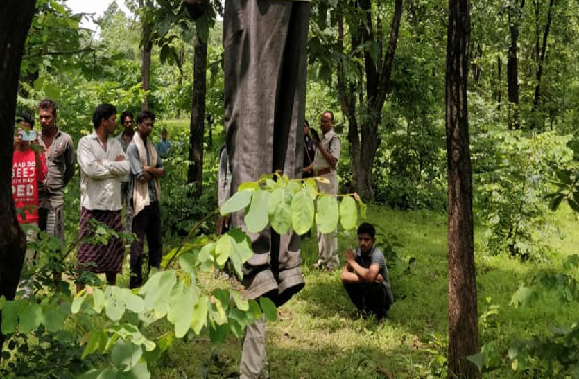 लकड़ी चुनने जंगल गए ग्रामीणों की पेड़ पर पड़ी नजर तो उड़ गए होश, फिर कुछ ही देर बाद पहुंच गई पुलिस