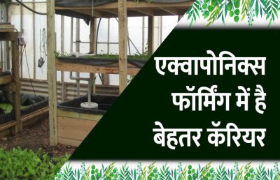 Short video poster image