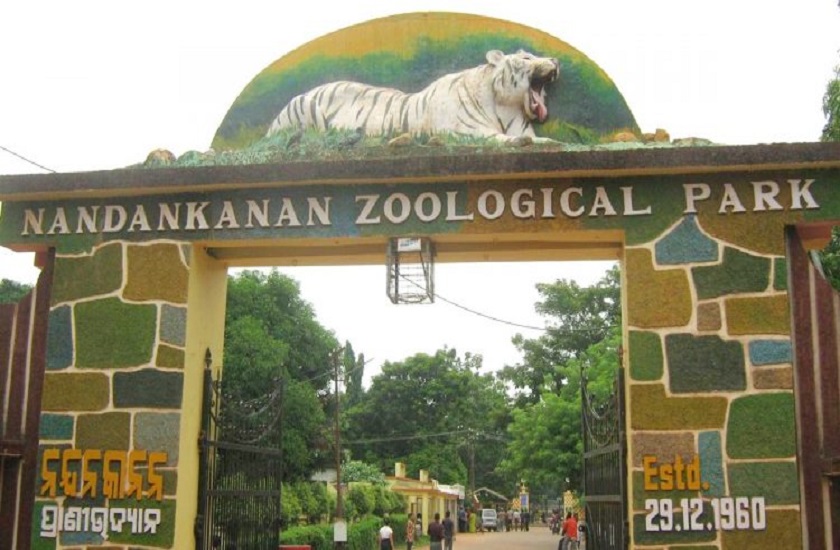 NandanKanan: 25 दिन में चार हाथियों को लील गया हरपीज, तीन मरणासन्न