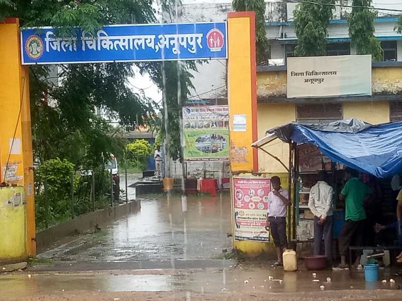 Suspected dengue patient found in Kotma, Health Department