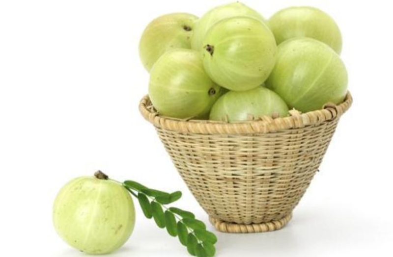 तमाम औषधीय गुणों से भरपूर है आंवला, जानिए इसके फायदे