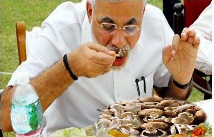 modi