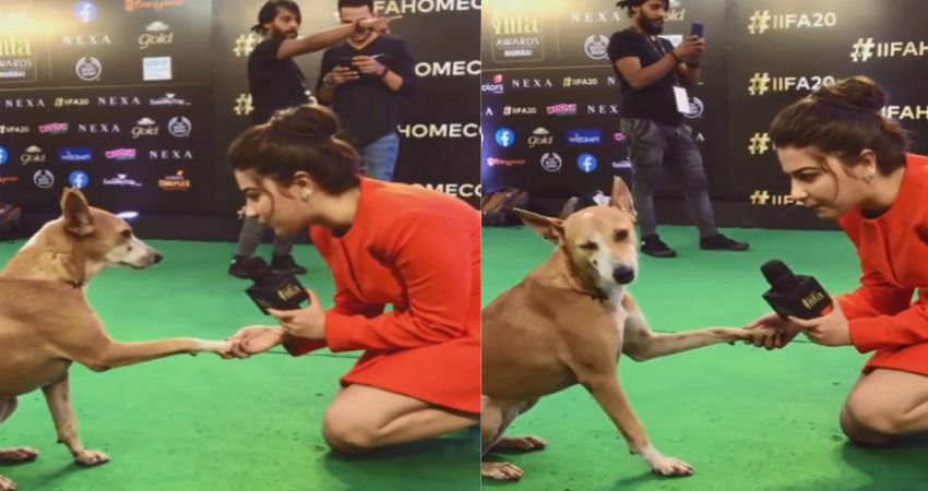aditi_bhatia_with_a_dog.png