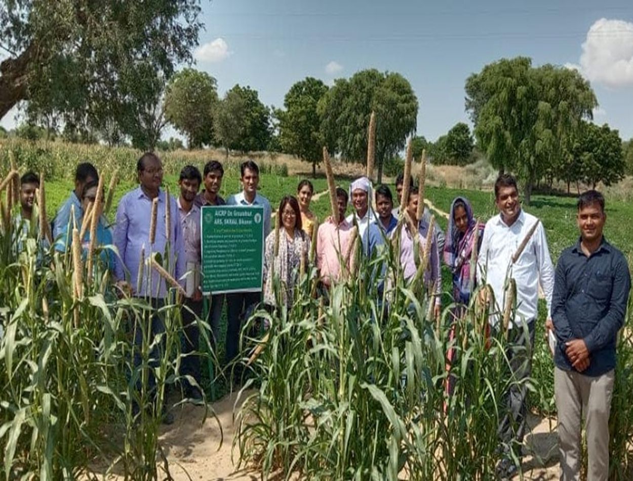 Agricultural experts in bikaner