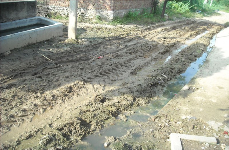 डिप्टी सीएम सचिन पायलट को भेजा ज्ञापन, सिरस में सीसी रोड व नाली निर्माण करवाने की रखी मांग