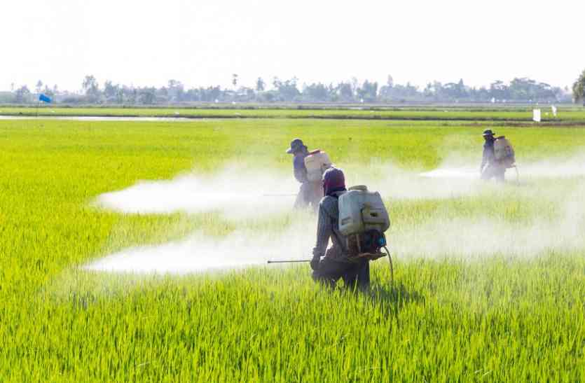 Farmer Death While Using Pesticide In Alwar