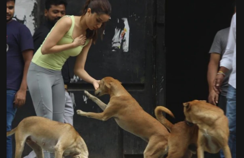 shraddha_kapoor_with_street_dog.jpg