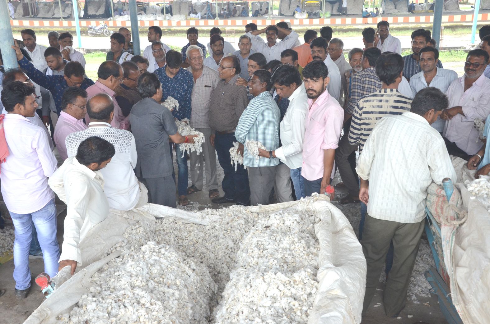 Cotton market in khargone