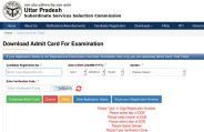 UPSSSC Admit Card Pre Exam 2019