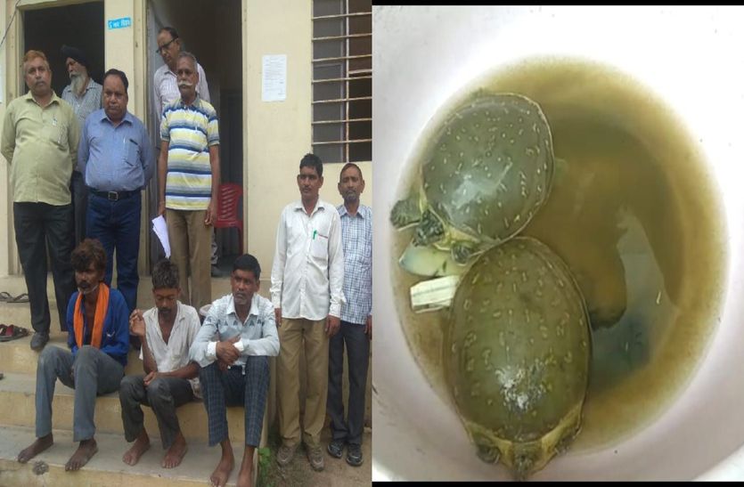 Alwar Police Arrest Tortoise Smuggler